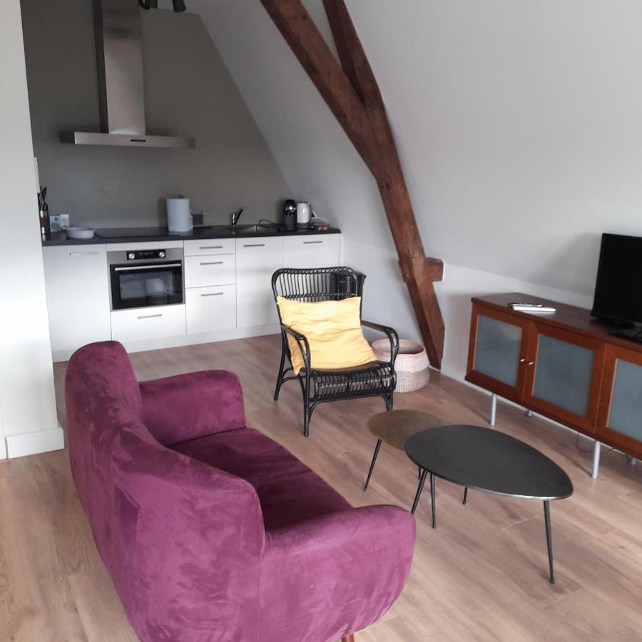 Historic Renovated Apartment With Balcony And Garden View Gouda Ngoại thất bức ảnh